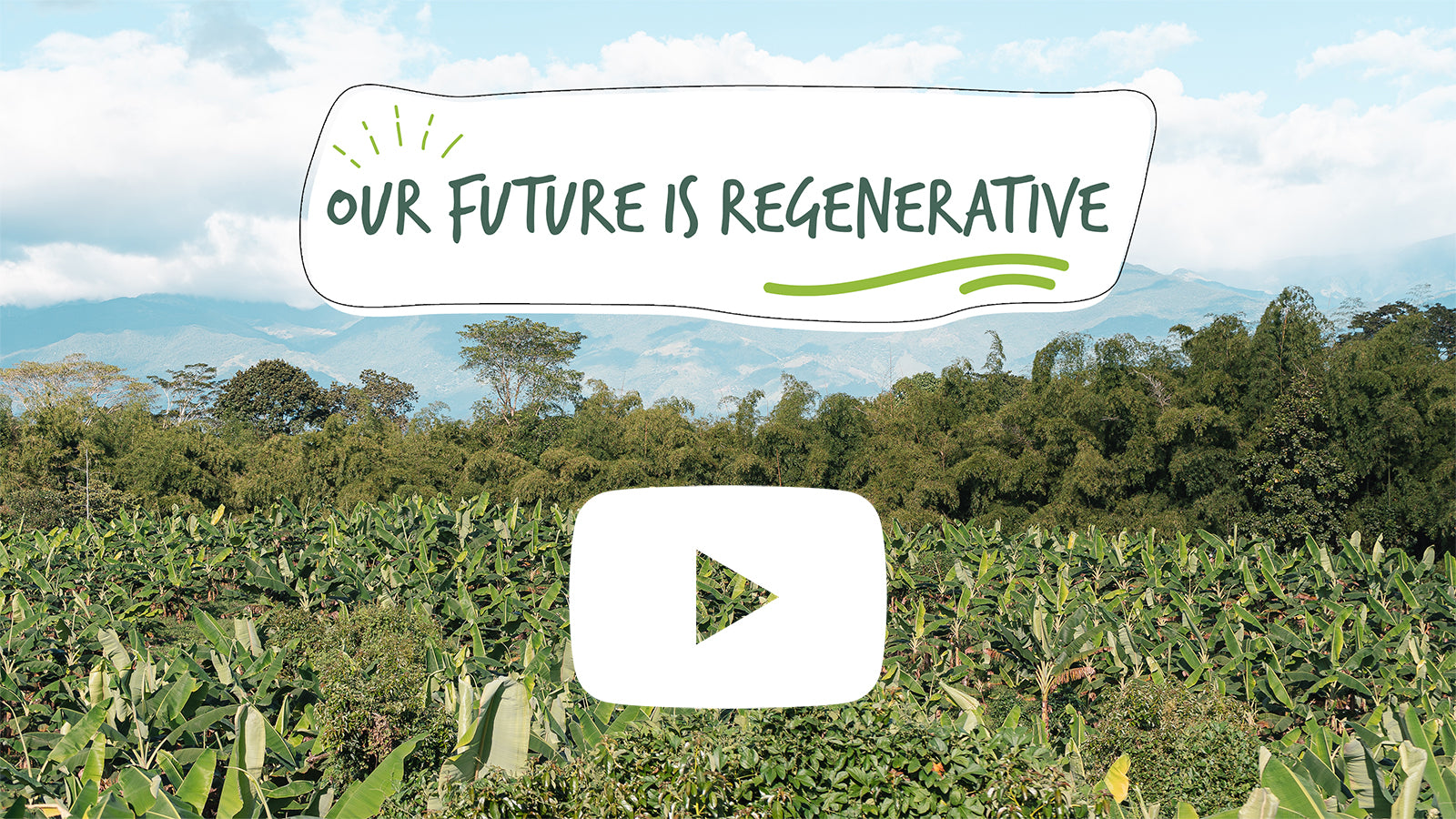 Our Future is Regenerative!